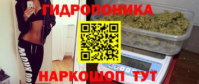 СК Волгодонск