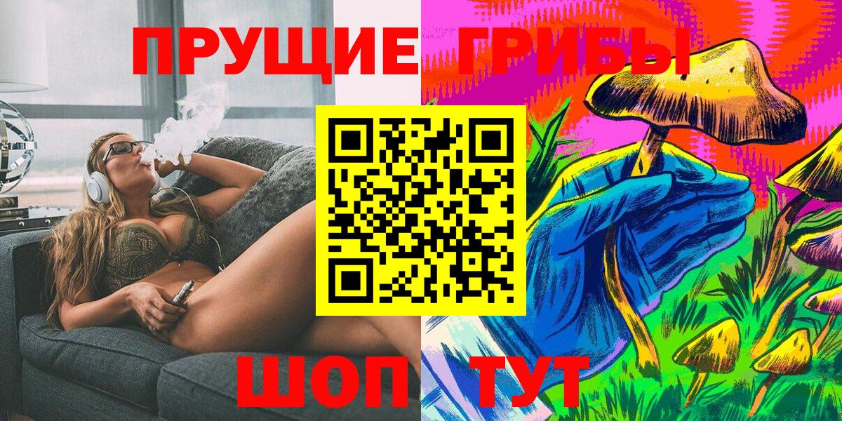 Кингисепп  Псилоцибиновые грибы Magic Shrooms  Вход с VPN 